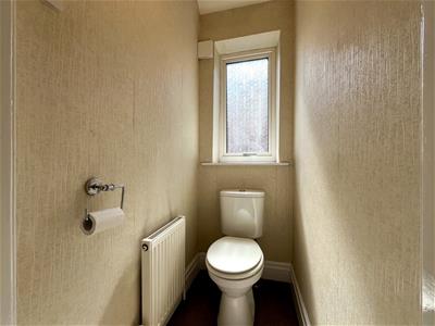 Picture 31